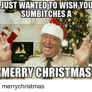 just-wanted-to-wish-you-sumbitches-a-merry-christmas-merrychristmas-9994300.png