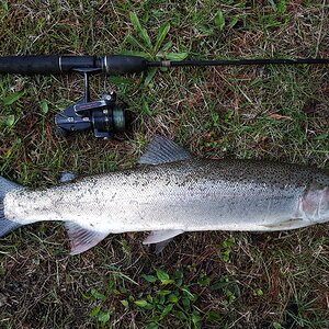 April 24 2021 Opener day Trout 013.jpg