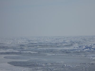 ice fishing feb15 008 (800x600).jpg