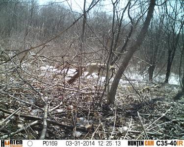 HUNT0169.webp