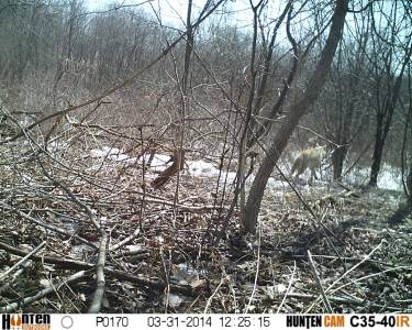HUNT0170.webp