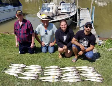 IMG_20180814_084549_867.webp