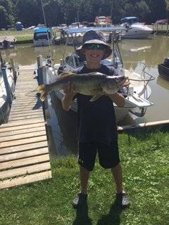 quinn's walleye.webp