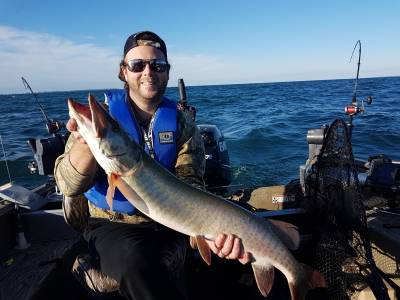 20180923_085639.webp