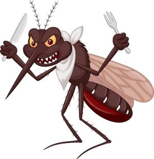 mosquito-cartoon-ready-for-eat-vector-1804848.jpg