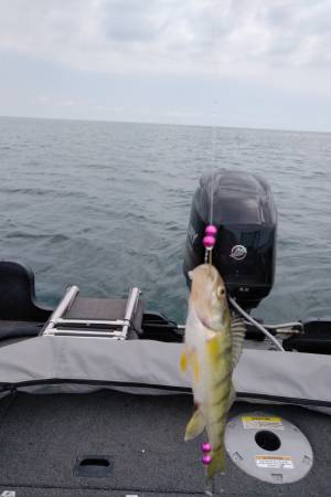 IMG_20190629_1147545.webp