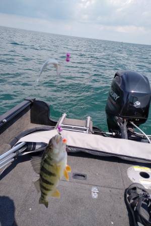 IMG_20190629_1302465.webp