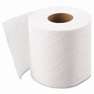 toilet paper.webp