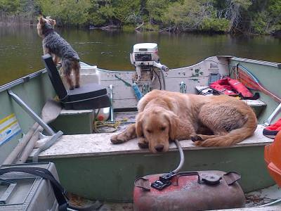 IMG-20140520-01424.webp