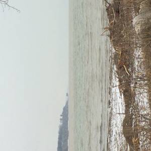 image.webp