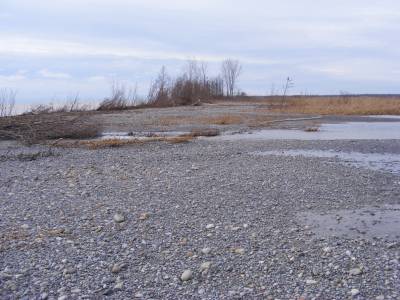 Big Creek at Hastings 001.webp