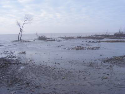 Big Creek at Hastings 003.webp
