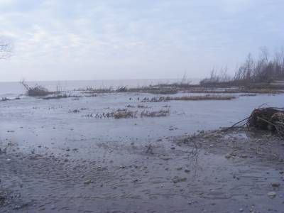 Big Creek at Hastings 004.webp