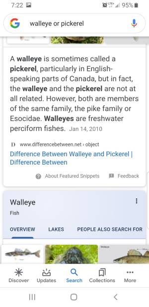 Screenshot_20200130-072232_Google.webp
