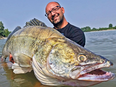 WORLD RECORD ZANDER1.webp
