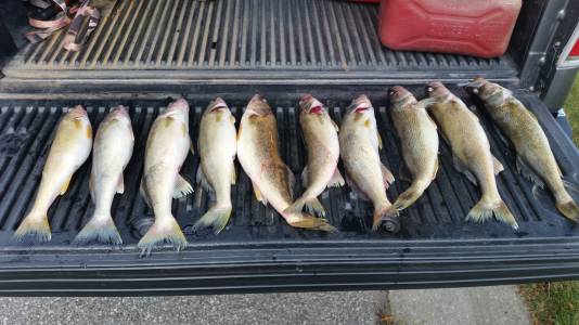 20190823_174621.webp