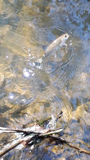 20200425_152911.webp