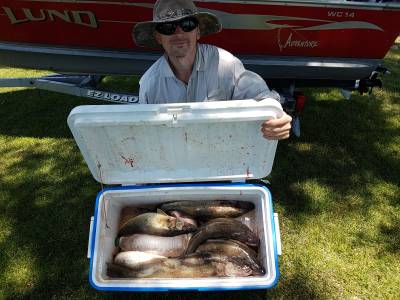 2020 June 29 Erieau summer walleyes 027.webp