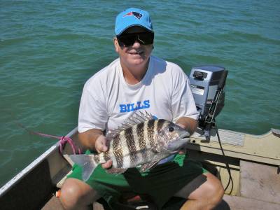 Florida 080.webp
