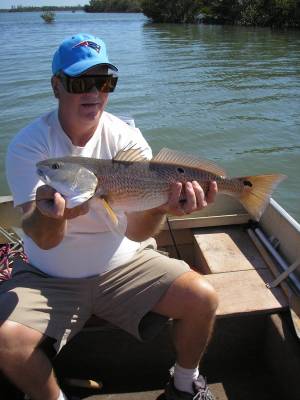 Florida 061.webp