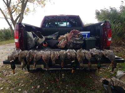 LSC Ducks Sat. Oct. 12 104.jpg
