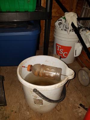 20201119_065523.webp