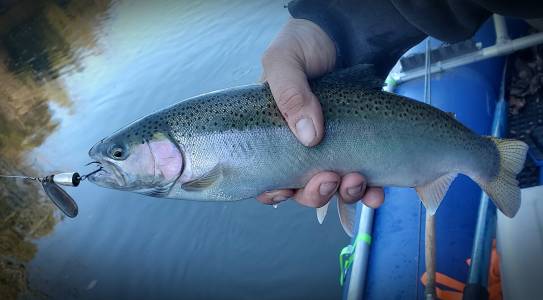 IMG_20201112_100542.jpg