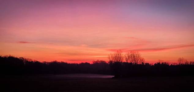 IMG_20201107_135446.jpg