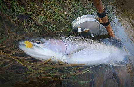 IMG_20201119_085218.webp