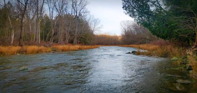 IMG_20201121_233157.webp