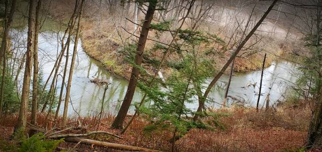 IMG_20201121_092219.webp