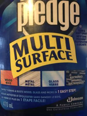 pledge.webp