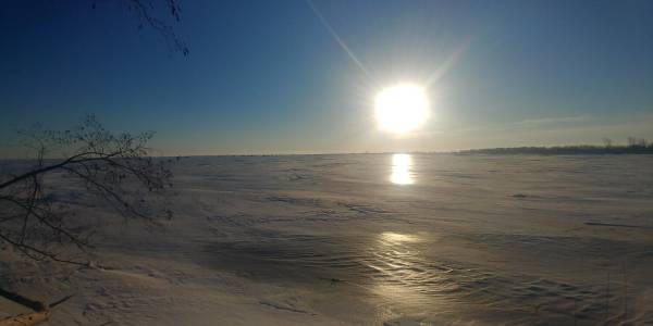 20210214_081341_HDR.webp