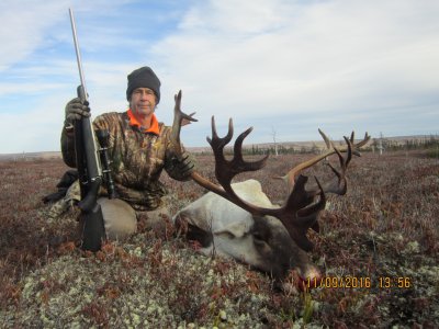 Buchans NFLD 2016 caribou hunt 019.JPG