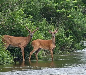 IMG_20210703_185729.webp