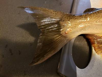 20210930_222852.webp