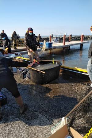 IMG_20211105_1550165.webp