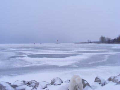 First ice fishers second time 009.JPG
