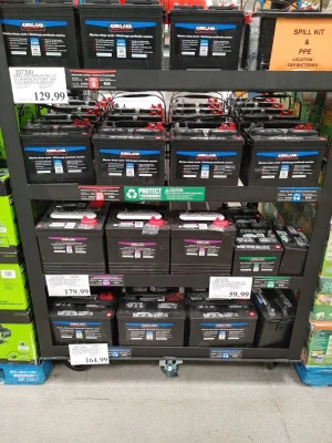 Costco batteries marine deals