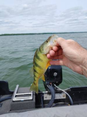 20220523_143136.webp