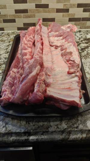 ribzz.webp