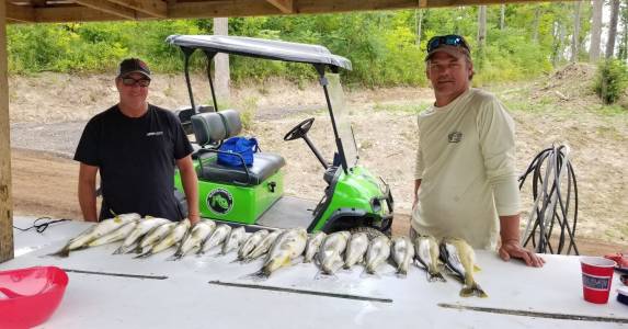 IMG_20220718_213319_546.webp