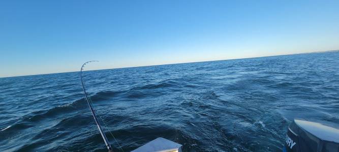 20220730_072537.jpg