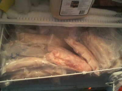 Seafood Section of my freezer Aug 18 2022.jpg