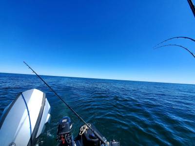20220901_132035.webp