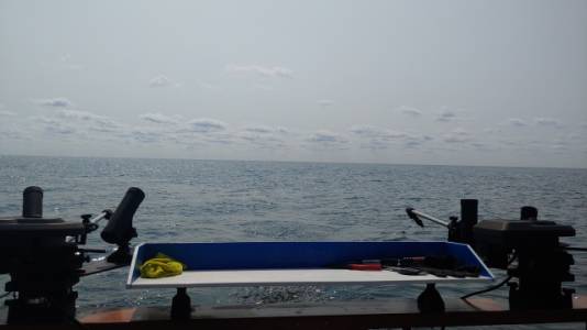 waves2day.webp