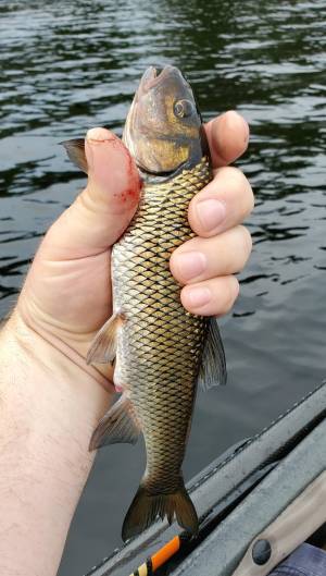 20220725_172342.webp