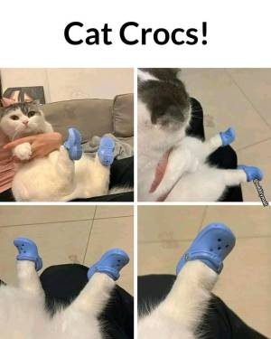 FB_IMG_1661566886971.webp
