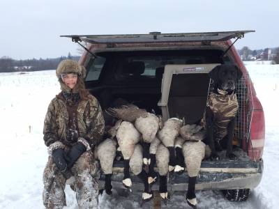 Goose 14.jpg Goose 14.jpg