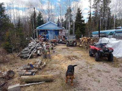 spring walleyes 2019 137.webp